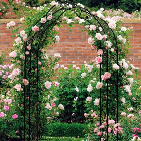 Metal Garden Arch Garden Arbor Trellis Climbing Plants Support Rose Arch Black (Main Material: Iron, Main Color: Black)